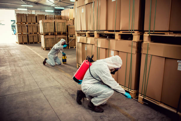 Best Pest Prevention Services  in Ashland, IL