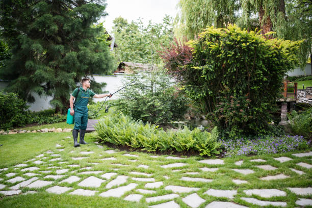 Best Insect Control  in Ashland, IL