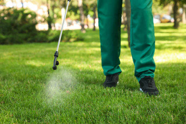Best Local Pest Control Services  in Ashland, IL