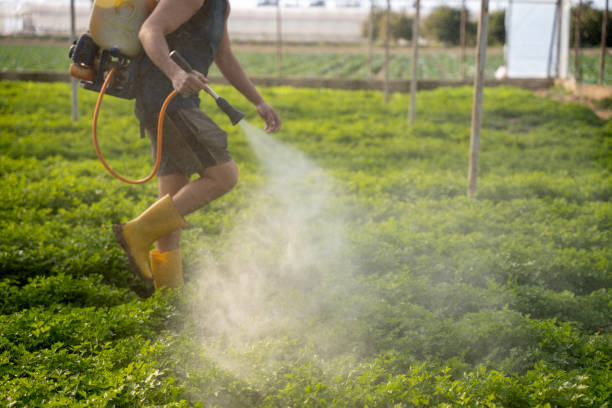 Best Wildlife Control Services  in Ashland, IL