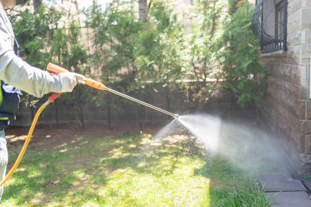Wasp Removal Services in Ashland, IL