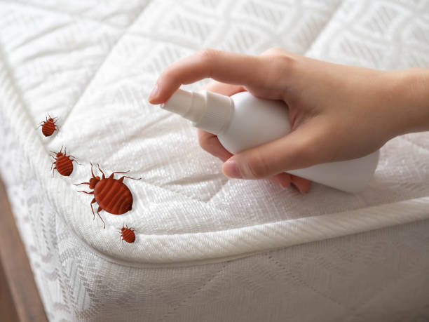 Best Ant Control Services  in Ashland, IL