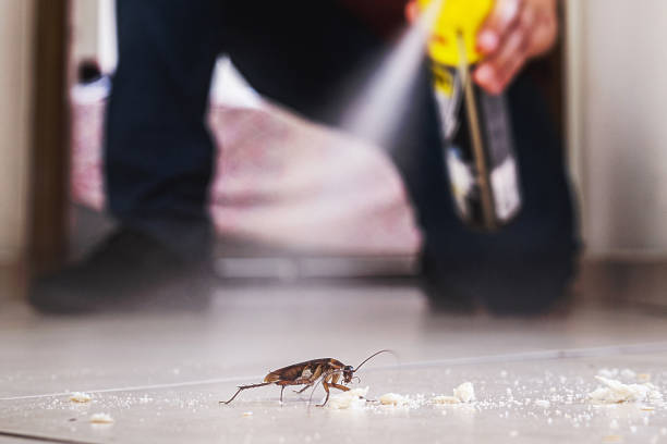 Insect Control in Ashland, IL