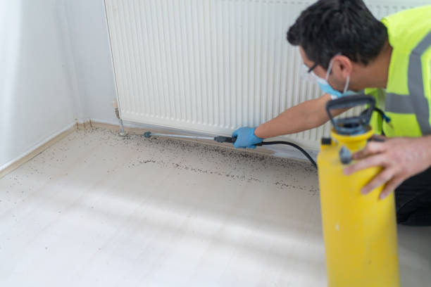 Best Exterminator Services  in Ashland, IL