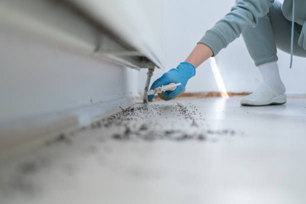 Best Commercial Pest Control Services  in Ashland, IL